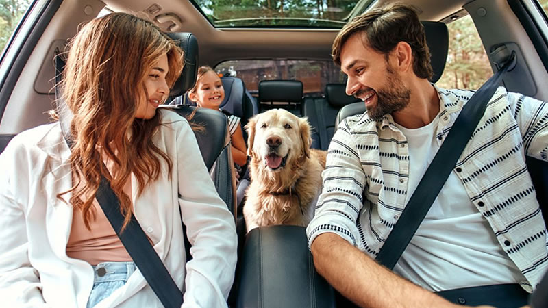 Best 7 Seater Car in Dubai for Family and Staff Transport